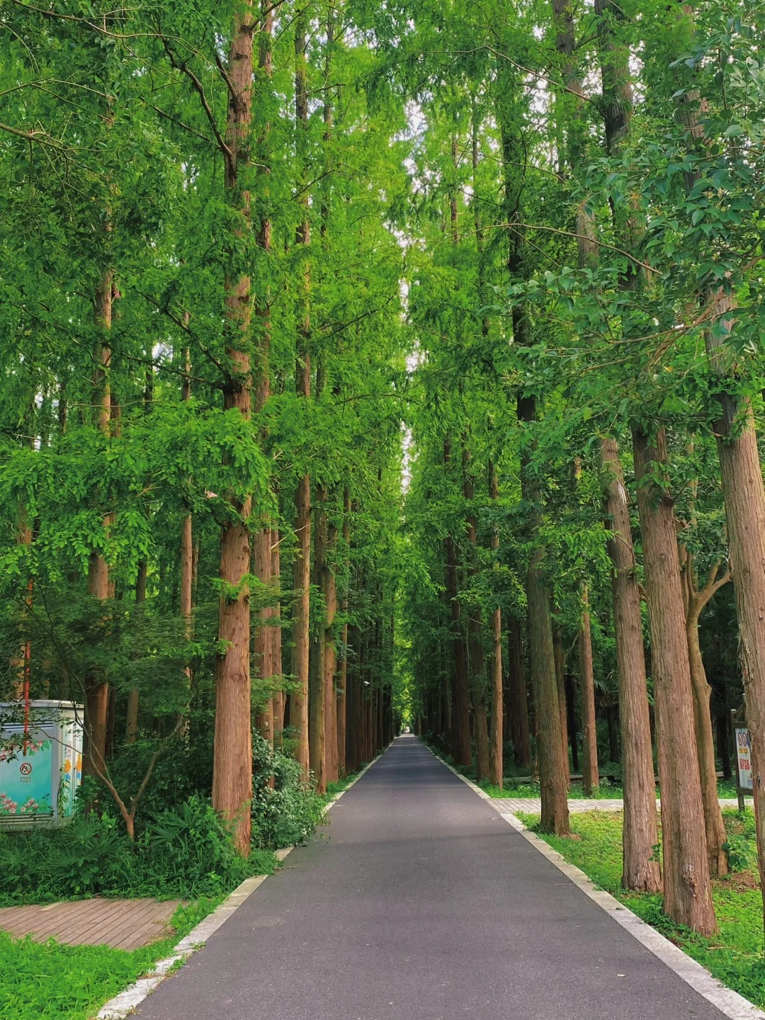 東平旅游攻略：探索這片美麗的自然與人文之地