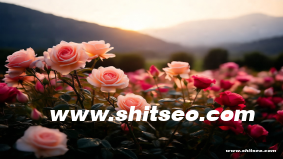 鄂州網站推廣：提升企業線上知名度與市場占有率的必備策略