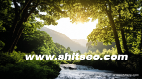 滄州網站SEO優化策略：提升本地搜索排名與在線曝光