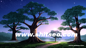 上海網(wǎng)站推廣：提升企業(yè)網(wǎng)絡影響力與市場競爭力的策略