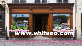 攝影技巧入門(mén)：新手如何從“亂拍”到“會(huì)拍”？