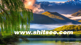 99re7域名：數(shù)字時代品牌發(fā)展的獨(dú)特選擇