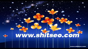 信陽網站SEO：提升本地企業競爭力的核心策略