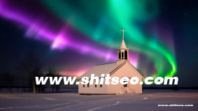 網(wǎng)站平臺(tái)：定義、類型與選擇指南