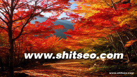 孝感網站推廣：提升品牌影響力和市場份額的策略