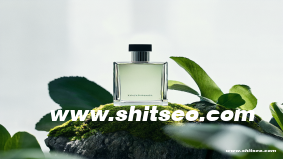 郵件營銷平臺：如何選擇適合企業的營銷工具？