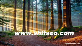 如何進行濮陽網站優化，提升企業網絡競爭力