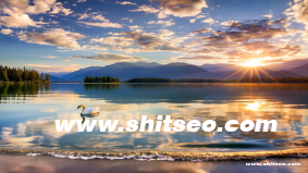 開封網(wǎng)站推廣：打造高效的網(wǎng)絡(luò)營(yíng)銷渠道，提升品牌價(jià)值