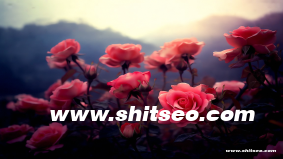 咸寧網站推廣：提升本地企業線上知名度和銷售的有效策略