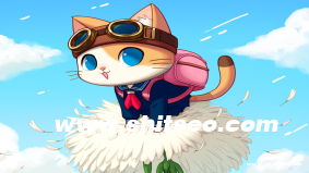 什么是“軟件招標SOP流程”？