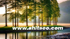 漯河網站SEO：提升本地競爭力與在線業務增長的關鍵策略