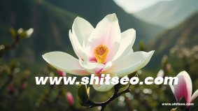 用手機(jī)制作網(wǎng)頁的軟件