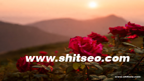 深圳網站推廣：提升企業線上影響力的有效路徑