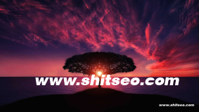 外貿(mào)企業(yè)郵箱：提升國際溝通效率的關(guān)鍵工具