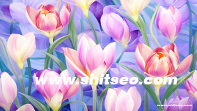 泰米爾語獨立站能做谷歌優化嗎？如何在搜索結果中獲得更高的排名？