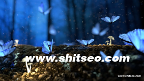 微商如何引流：精準(zhǔn)獲客與渠道布局的實(shí)用技巧