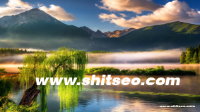 CNXGJS域名：提升企業(yè)在線形象與品牌價值的關(guān)鍵選擇