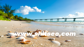 【SOP處理流程系統(tǒng)】打造企業(yè)高效執(zhí)行力的數(shù)字引擎