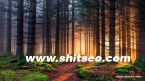 濮陽(yáng)網(wǎng)站推廣策略：提升品牌曝光與市場(chǎng)競(jìng)爭(zhēng)力的有效路徑