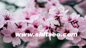 營銷之道：掌握核心策略，引領(lǐng)品牌成功