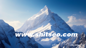 網站制作流程報告怎么寫