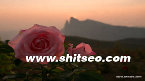 汕頭網站SEO：提升企業網站曝光率與排名的關鍵策略