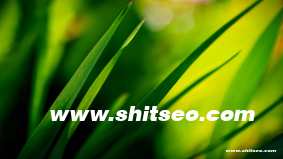 電商seo名詞解釋，電商seo是指