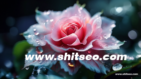 自己制作的網頁別人怎么訪問