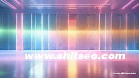 什么是外貿(mào)seo