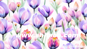 孟加拉語獨立站能做谷歌優化嗎？如何提升網站在本地搜索中的表現？