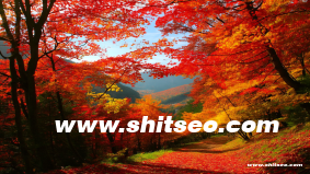 黃岡網站推廣：提升本地業務曝光度與競爭力的有效策略