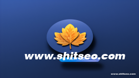 唐山網絡推廣全攻略：提升品牌知名度與市場占有率