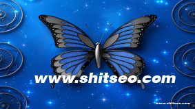 三門峽網站優化：提升網站排名，助力企業發展