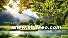 保定網站推廣策略：提升品牌曝光與客戶轉化率