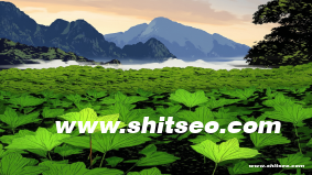 廊坊網站推廣策略：提升品牌曝光與業務增長的實用方案