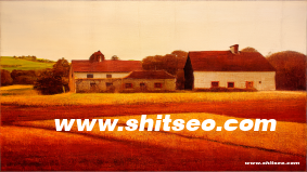 怎么看頁面被cdn加速了