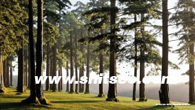 探索ONSD340網(wǎng)站域名的潛力與優(yōu)化策略