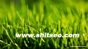 如何理解技術市場導向與創新？