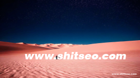 產品導向和市場導向的區別？