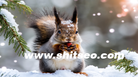 外貿推廣平臺有哪些？別只知道阿里國際站！