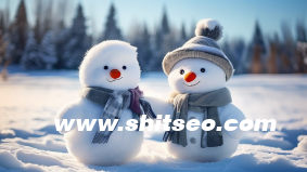 企業(yè)微網(wǎng)站怎么做