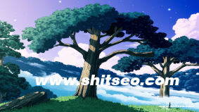 重慶網站優化：提升網站競爭力與搜索排名的實戰指南