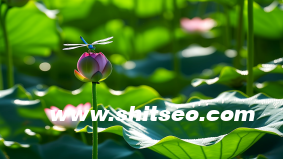 什么是“釘釘SOP流程”？