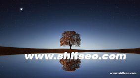 表單設計器：高效便捷的數字化工具