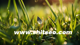 小紅書做運營崗位怎么樣