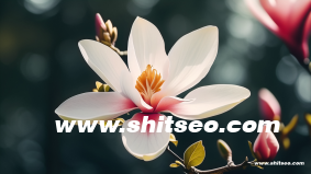 手機網站制作方法大全