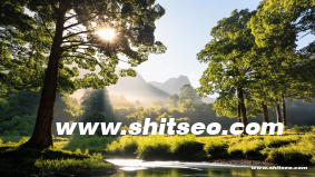 滄州網站優化技巧：提升網站流量與用戶體驗