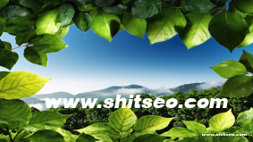 保定網站SEO優化策略：提升搜索排名與品牌曝光