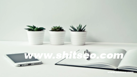 營銷網站：數字營銷的核心平臺