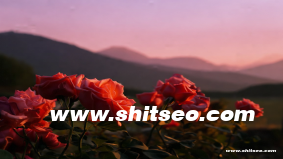 隨州網站推廣：如何在競爭激烈的市場中脫穎而出